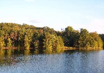 Autumn leaves turning across the lake