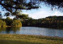 Great picture of the lake