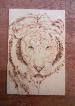 one and only animal that I've burned